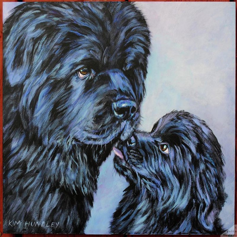 Фотография № 224377