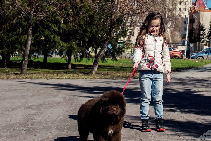 Фотография № 224381