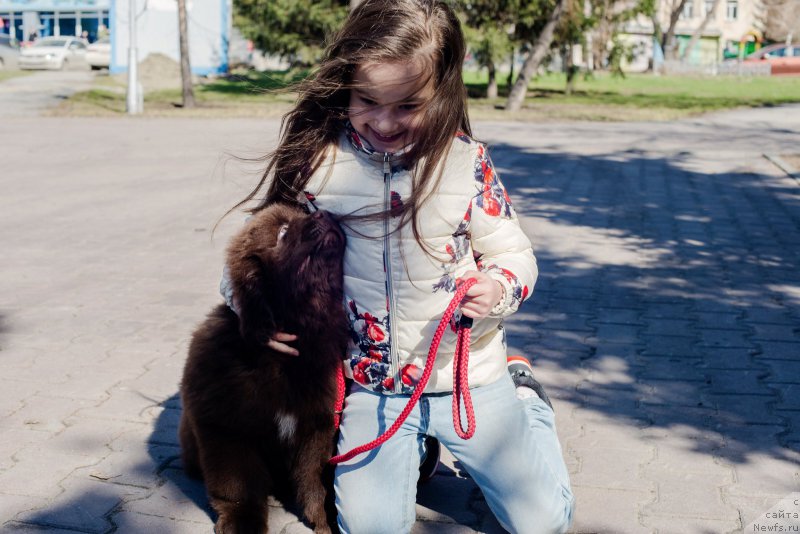 Фотография № 224382