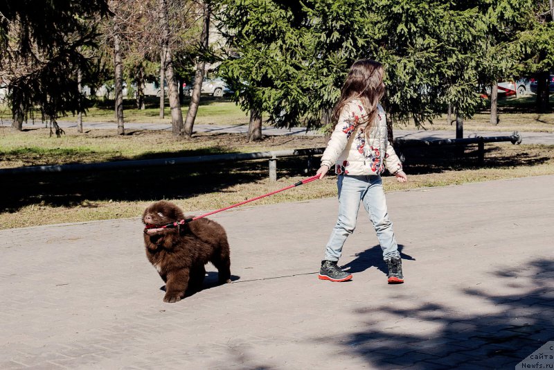 Фотография № 224385