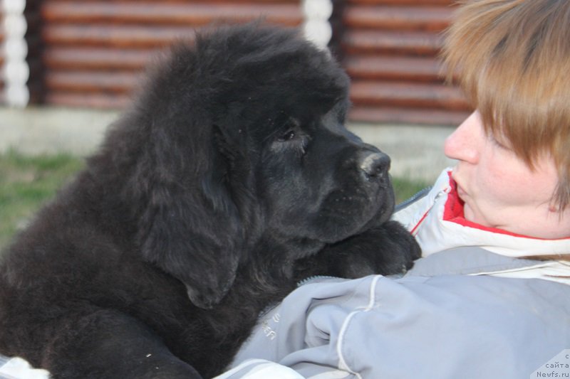 Фотография № 224392