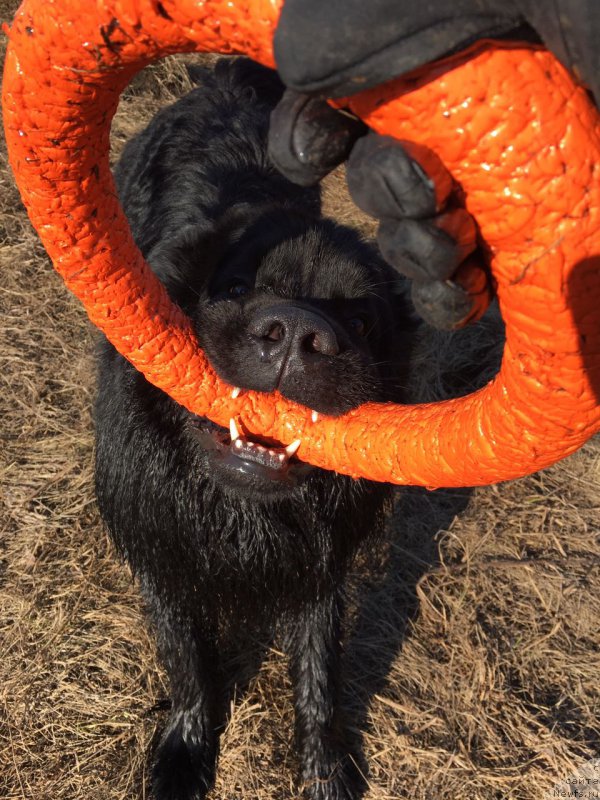 Фото: YUliya Vashkina (Юлия Вашкина)