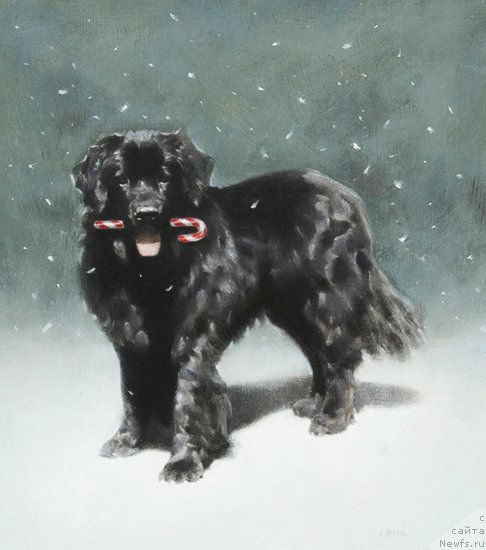 Фотография № 224405