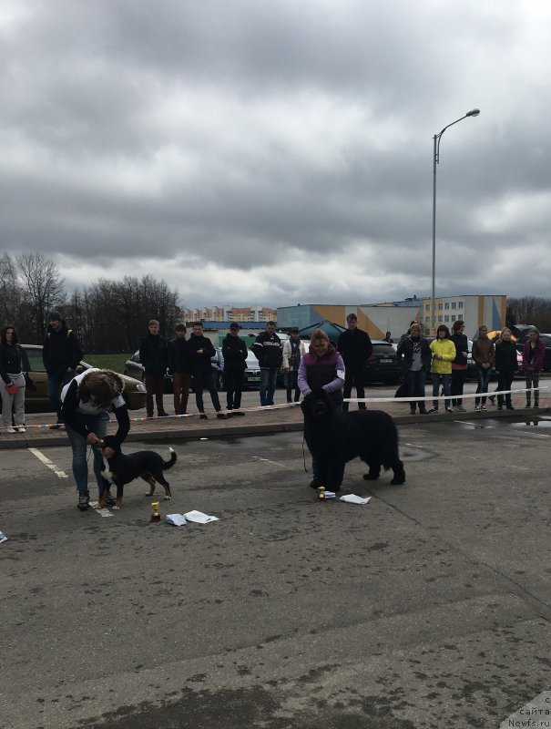 Фотография № 224407