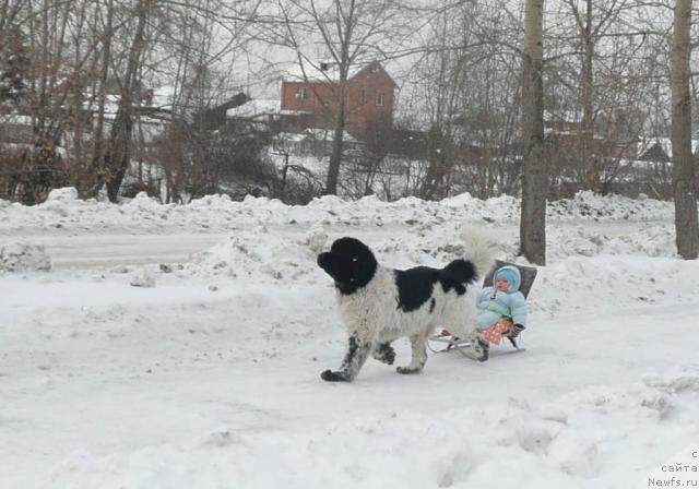 Фотография № 22441