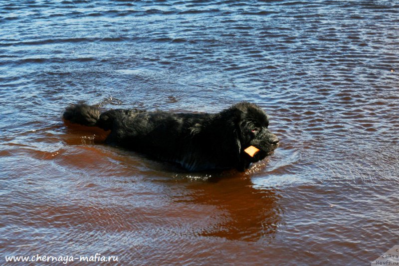 Фотография № 224426