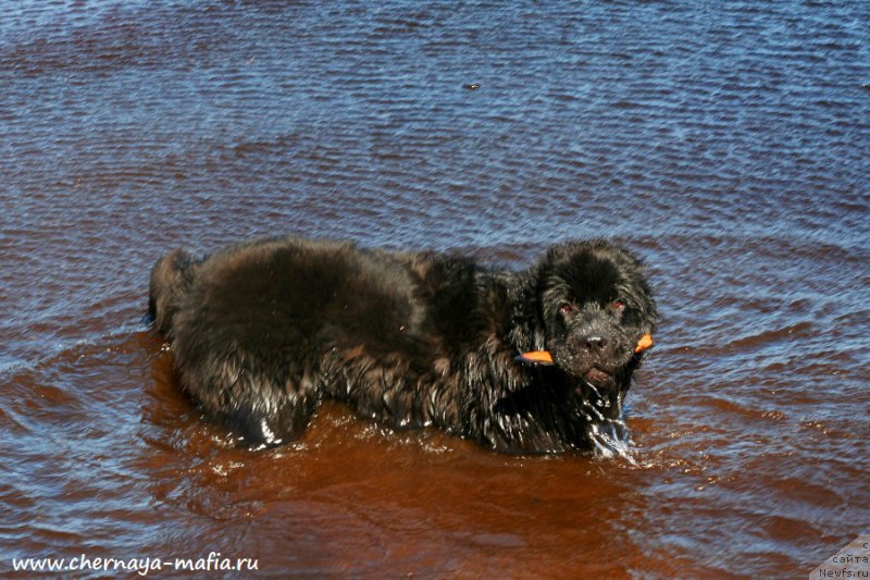 Фотография № 224427