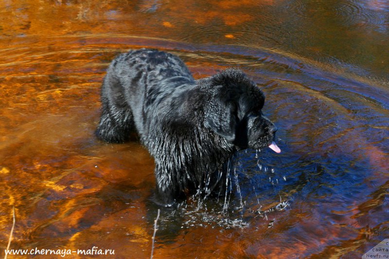 Фотография № 224429