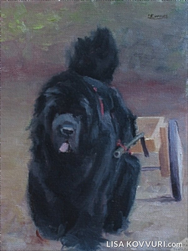 Фотография № 224464