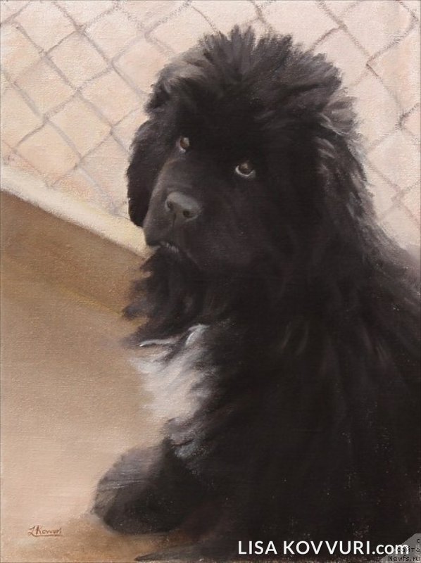 Фотография № 224465