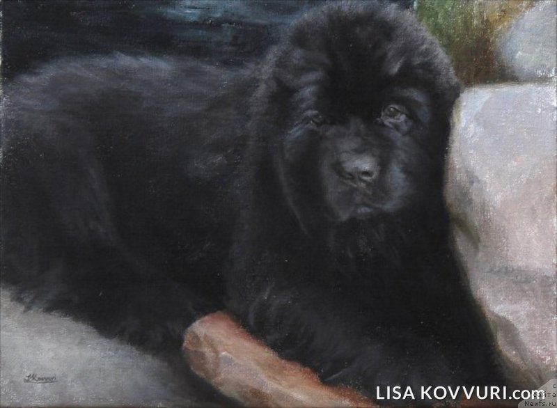 Фотография № 224466