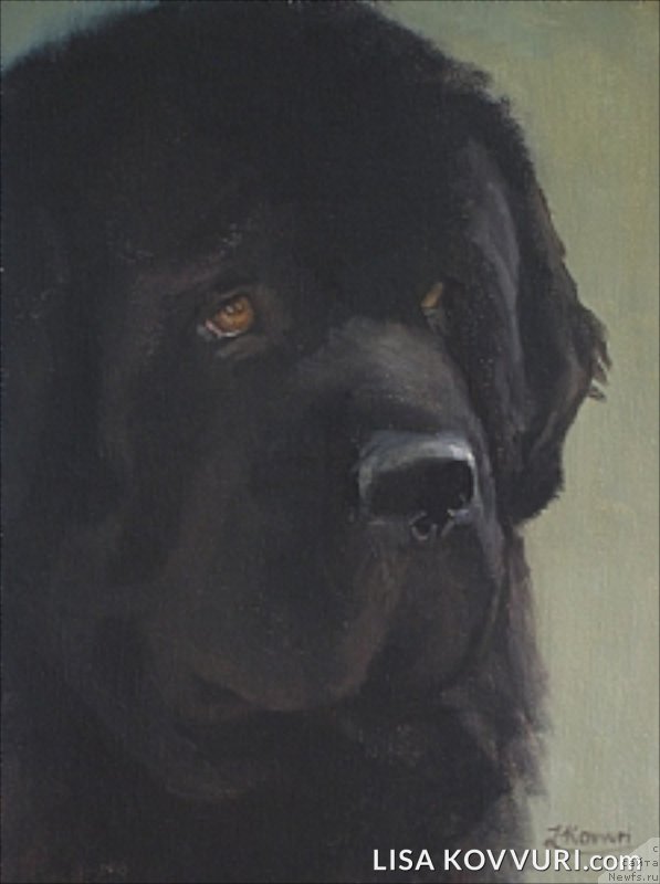 Фотография № 224468