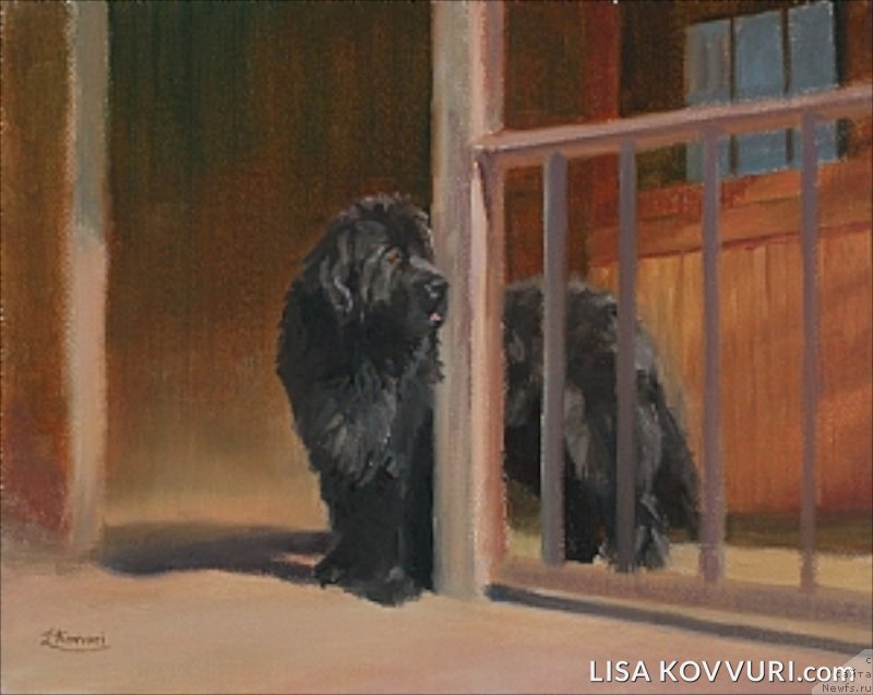 Фотография № 224471