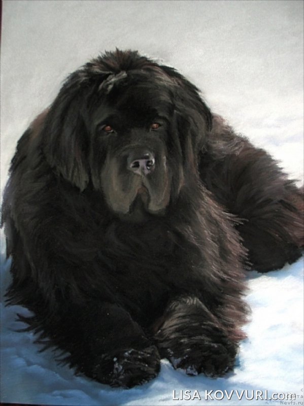 Фотография № 224472