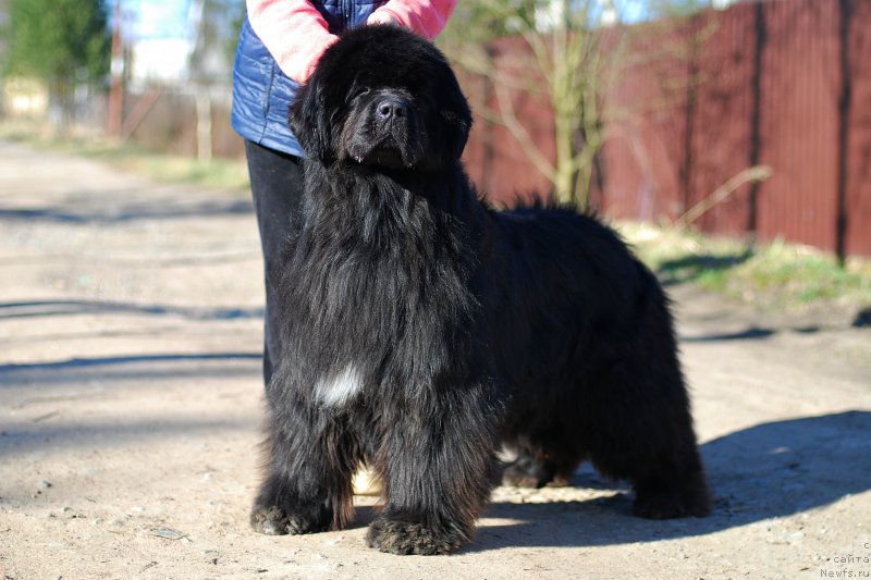 Фотография № 224516