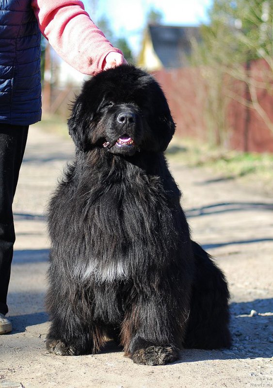 Фотография № 224518