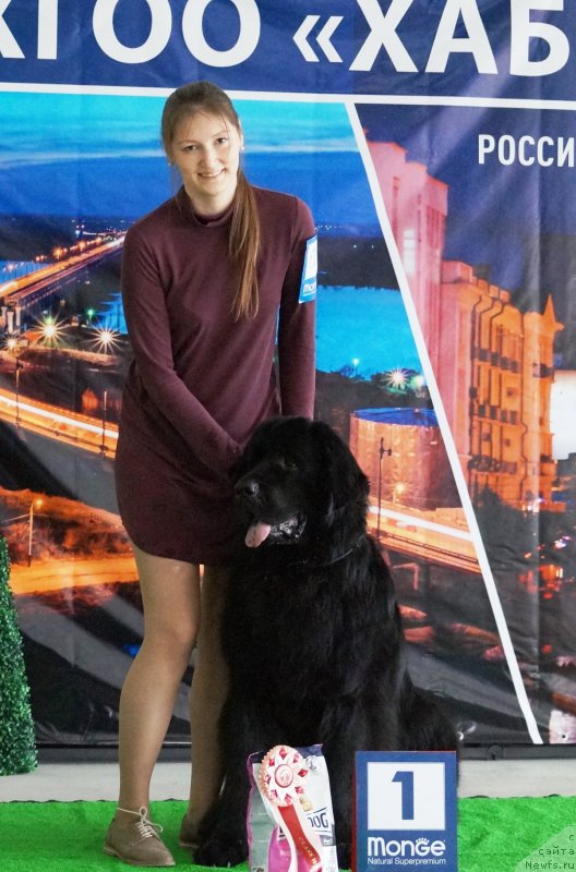 Фотография № 224527