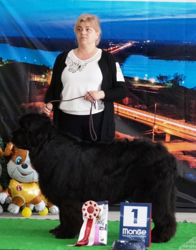 Фотография № 224531