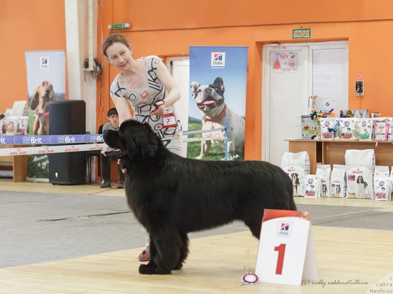 Фотография № 224536