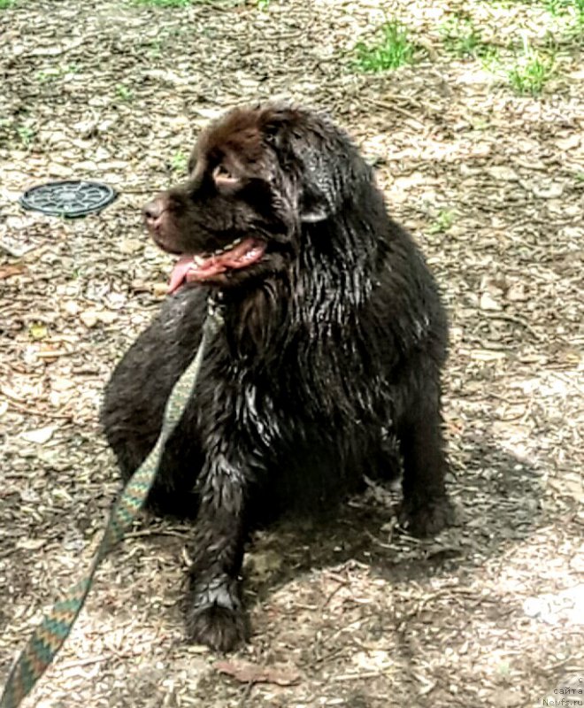 Фотография № 224542