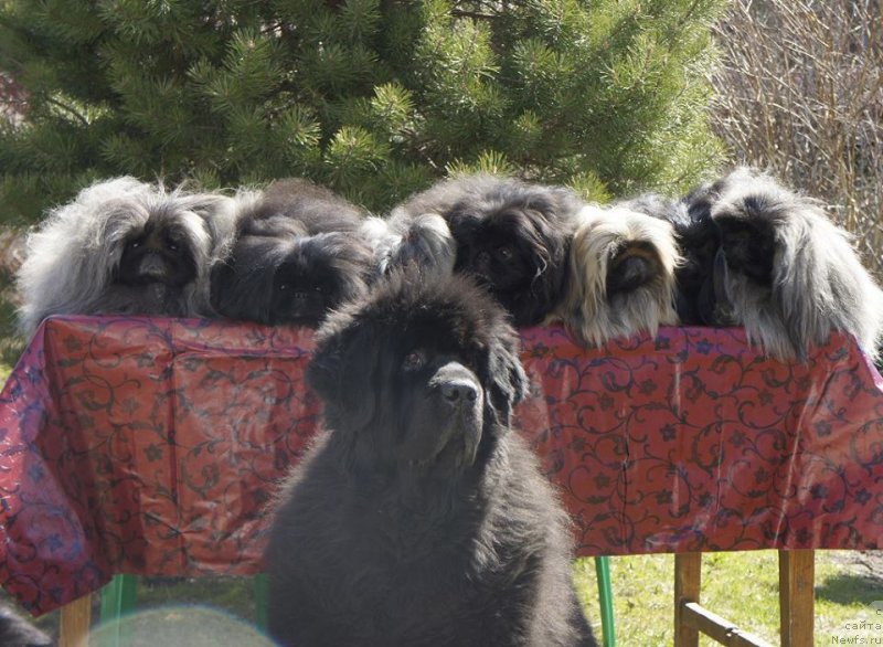 Фотография № 224573