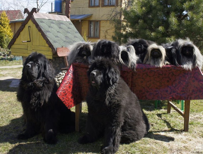 Фотография № 224574