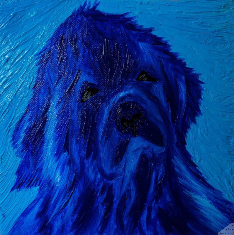 Фотография № 224587