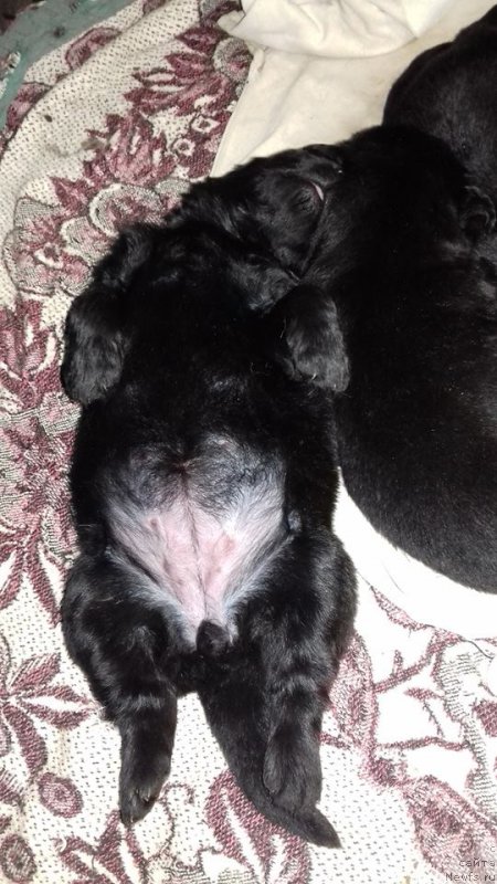 Фотография № 224588