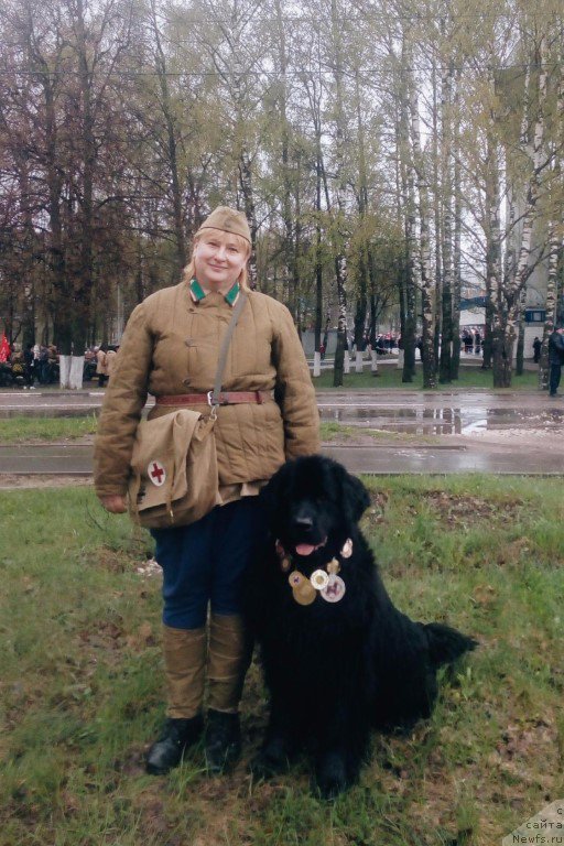 Фото: ньюфаундленд Russkaya Krasavica Nyura (Русская Красавица Нюра)