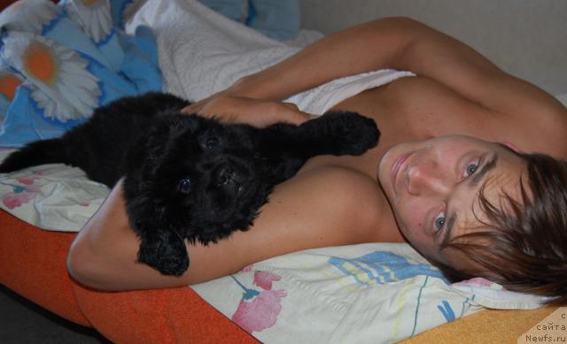 Фото: Maksim Kanunnikov (Максим Канунников), ньюфаундленд Super Premium Vashington (Супер Премиум Вашингтон)