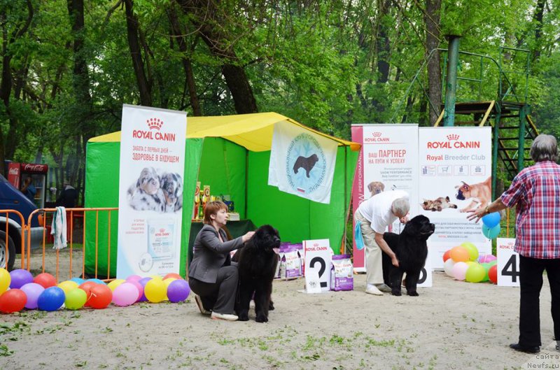 Фотография № 224603