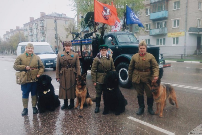 Фото: Elena Bajutina (Елена Бажутина)