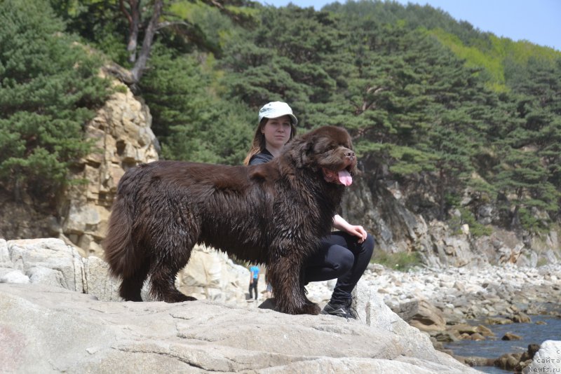 Фотография № 224626