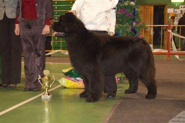 Фотография № 22463