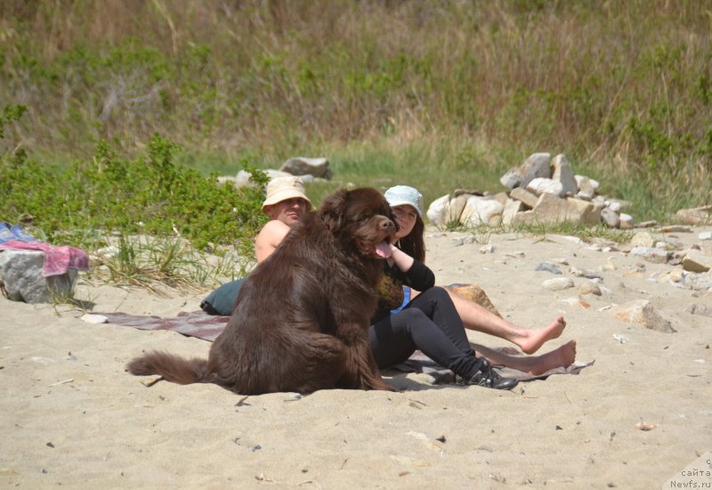 Фотография № 224630