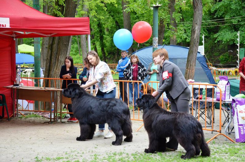 Фотография № 224639