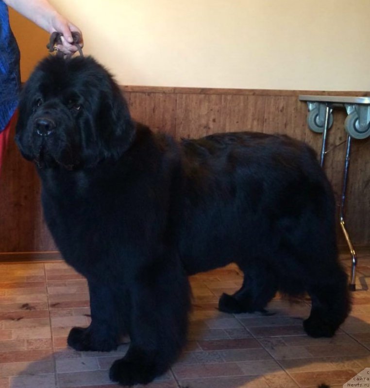 Фотография № 224649