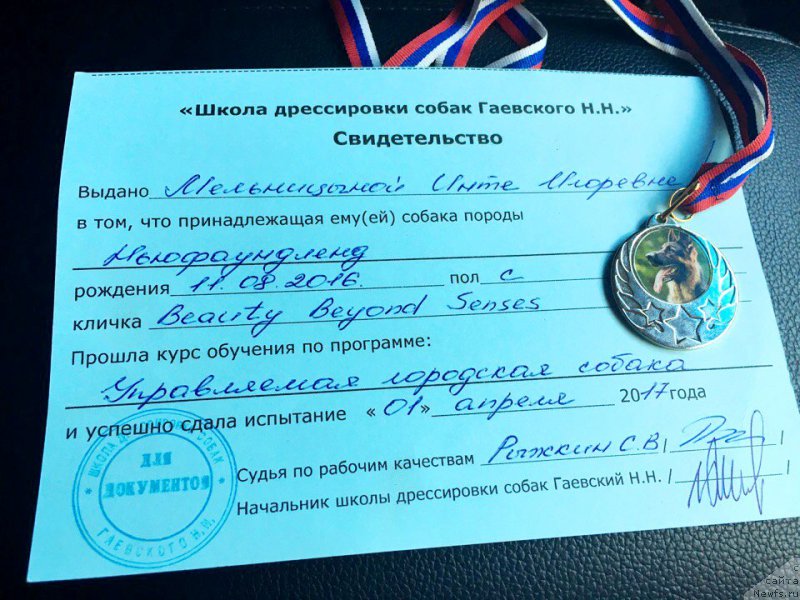 Фотография № 224671