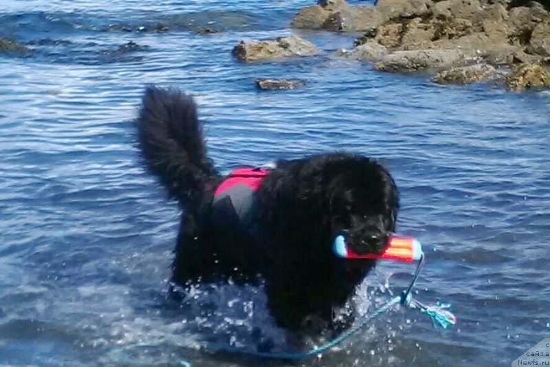 Фотография № 224701