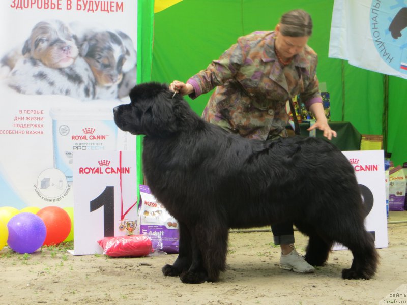 Фотография № 224718