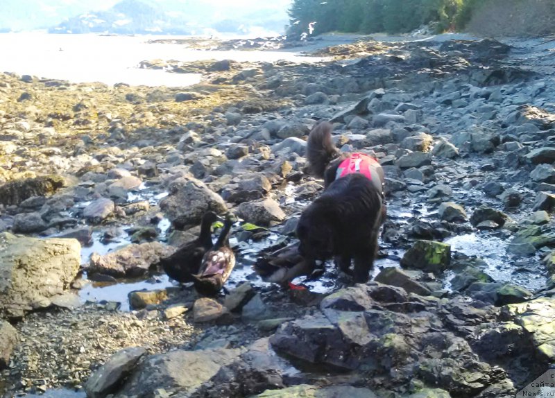 Фотография № 224723