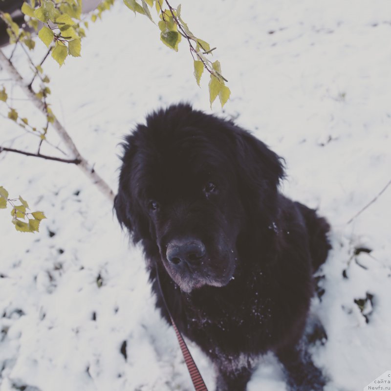 Фотография № 224724