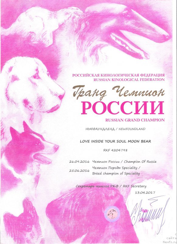 Фотография № 224726