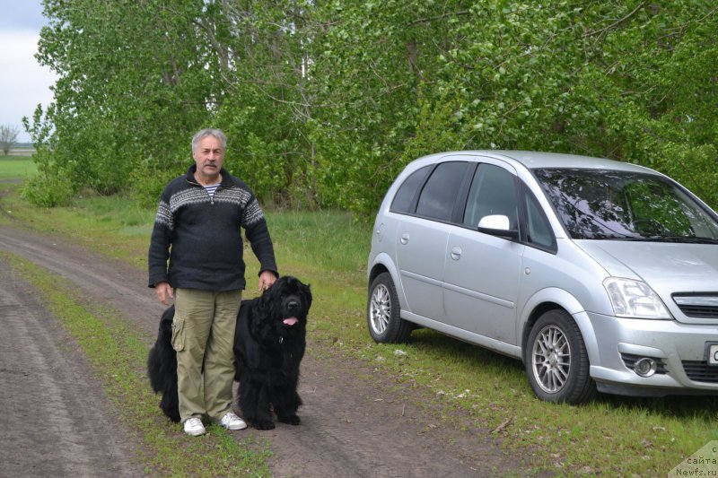 Фотография № 224734