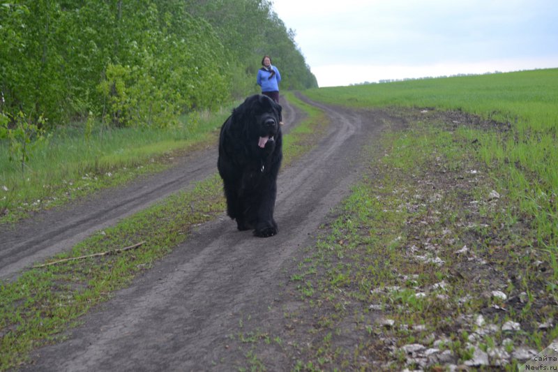 Фотография № 224735