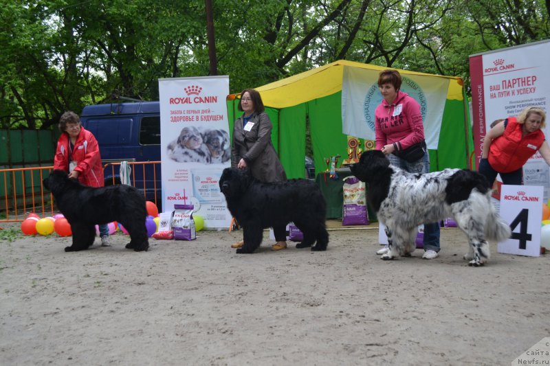 Фотография № 224737