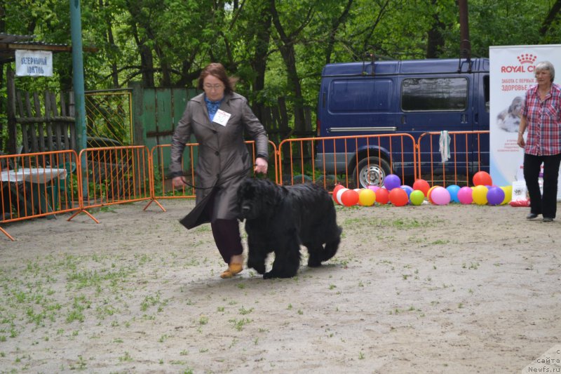 Фотография № 224738