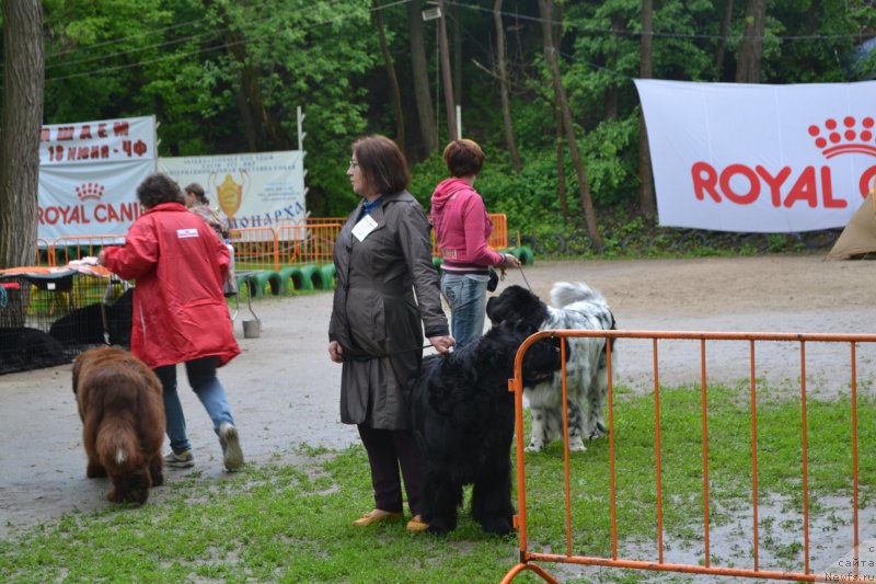 Фотография № 224741