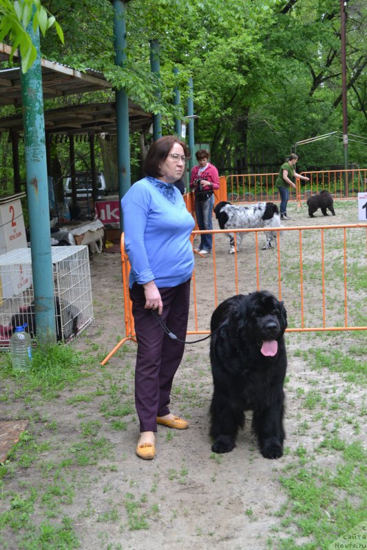 Фотография № 224742