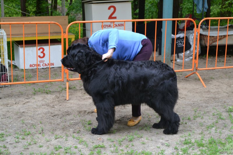 Фотография № 224743